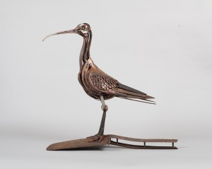 Forceps Curlew