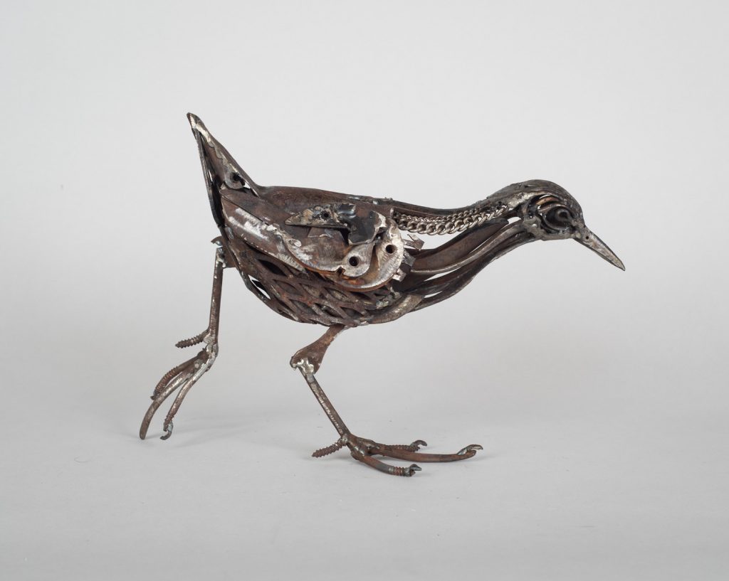 Chain Necked Water Rail by Harriet Mead