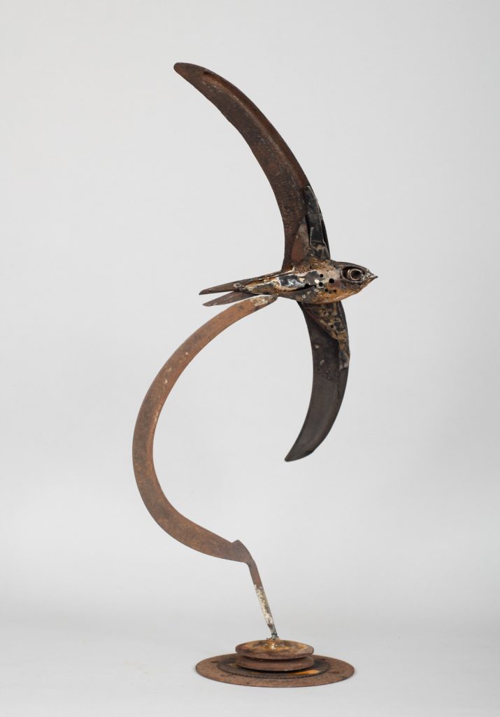 Sickle WInged Swift by Harriet Mead