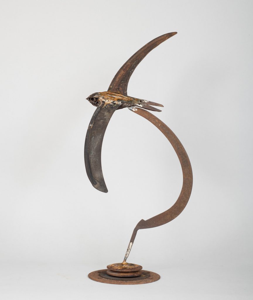 Sickle Winged Swift by Harriet Mead