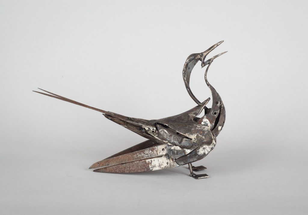 Scissor Tailed Tern by Harriet Mead
