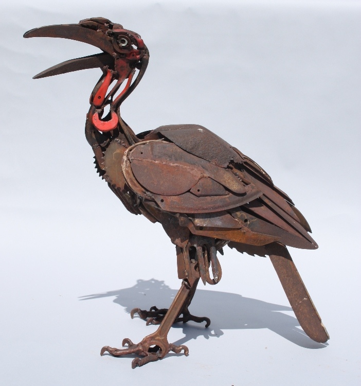 hornbill1