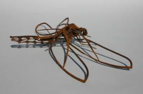 dragonfly2_low_res