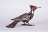 Pileated-Woodpecker-3