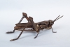 Stair-rod-grasshopper-4